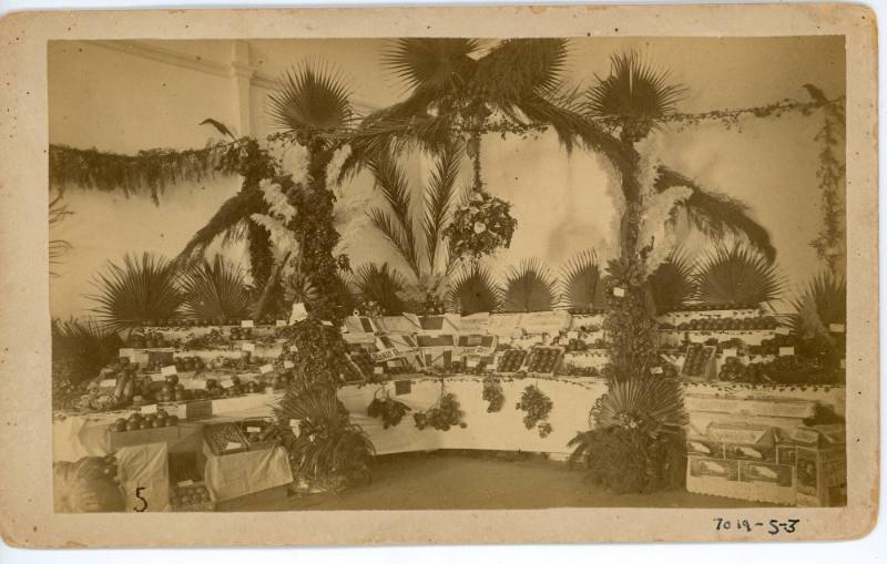 Santa Ana Valley Mid Winter Fruit & Flower Festival, 1886
Clausen & Berkeman; Santa Ana, Orang…