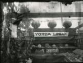 Yorba Linda Produce Display, c. 1922
Leo E. Tiede (American, 1889-1968); Orange County, Califo…