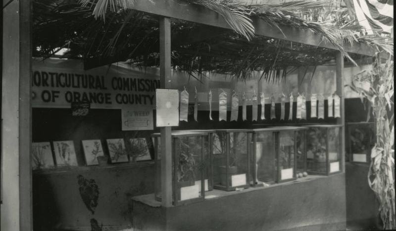 Horticultural Commission of Orange County Display, early 20th Century
Leo E. Tiede (American, …