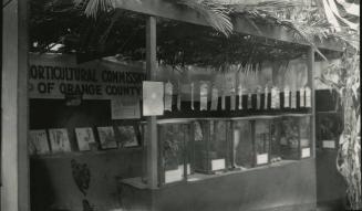 Horticultural Commission of Orange County Display, early 20th Century
Leo E. Tiede (American, …