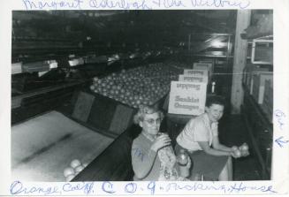 Margaret Osterbogh & Ora Wilbur in Orange Packing House, 1950s
Unknown Photographer; Orange Co…