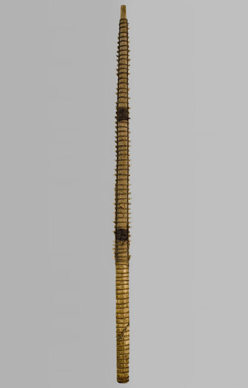 Sword (Tetoanea or Tewinnarei), mid 19th Century
I-Kiribati culture; Gilbert Islands, Republic…