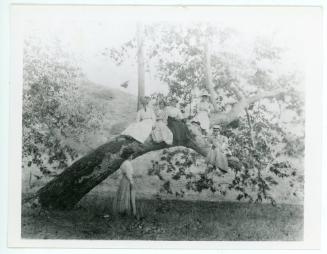 The Picnic Grounds, c. 1900
Irvine Regional Park, Orange County, California
Photographic prin…