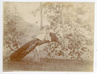 The Picnic Grounds, c. 1900
Unknown photographer; Irvine Regional Park, Orange County, Califor…