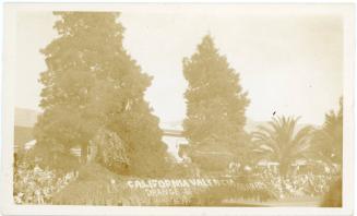 Parade Float for California Valencia Orange Show, 1921-1931
Unknown Photographer; Anaheim, Ora…