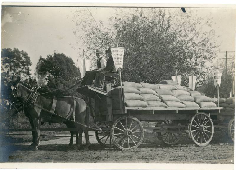 Parade of Products Barley Float, 1906
Unknown Photographer; Santa Ana, Orange County, Californ…