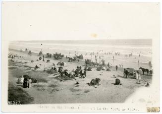 Picnic on the Beach, 1880-1899
Newport Beach, California
Photographic print; 5 3/4 x 6 3/4 in…