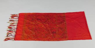 Shawl, 20th Century
Lao or Tai culture; Laos or Vietnam
Cotton and silk; 16 1/2 × 88 1/8 in.
…