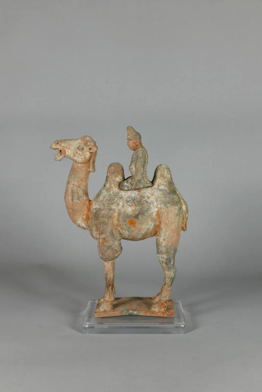 Camel and Rider Figure
Northern Wei or Northern Qi dynasties (386-577)
Ceramic and pigment
L…