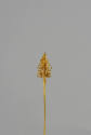 Hair Pin
Liao dynasty (907-1125)
Gold
Loan courtesy of Anne and Long Shung Shih
L.2007.12.3