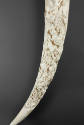 Carved Tusk
Late Qing dynasty to Republic of China (1870-1949)
Ivory
Gift of Vernor G. and E…