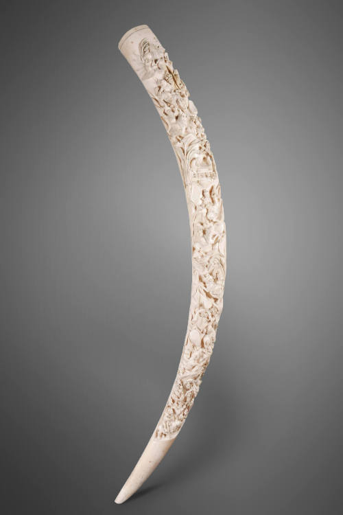 Carved Tusk
Late Qing dynasty to Republic of China (1870-1949)
Ivory
Gift of Vernor G. and E…