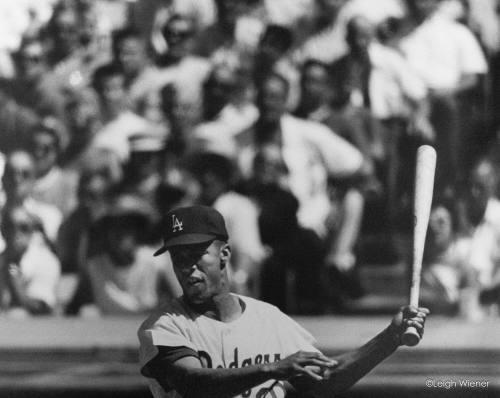 Maury Wills, 1962
Leigh A. Wiener (American, 1929-1993); California
Gelatin silver print on e…