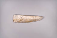 Adze Head Currency, 20th Century
Wuvulu Island, Manus Province, Papua New Guinea, Melanesia
G…