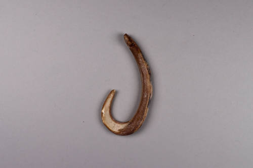 Fish Hook, 20th Century
Wuvulu Island, Manus Province, Papua New Guinea, Melanesia
Shell; 2 3…