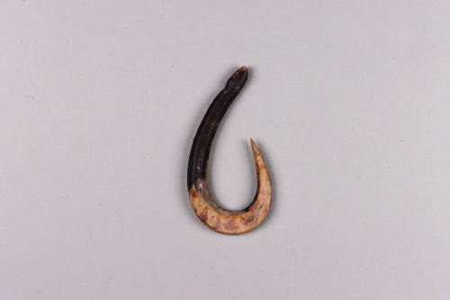 Fish Hook, 20th Century
Wuvulu Island, Manus Province, Papua New Guinea, Melanesia
Shell; 1 3…