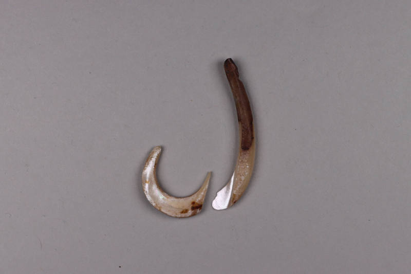 Fish Hook, 20th Century
Wuvulu Island, Manus Province, Papua New Guinea, Melanesia
Shell; 1 3…