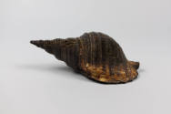 Shell Trumpet, 20th Century
Unrecorded artist; Woodlark Island, Milne Bay Province, Papua New …