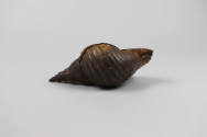 Shell Trumpet, 20th Century
Unrecorded artist; Woodlark Island, Milne Bay Province, Papua New …