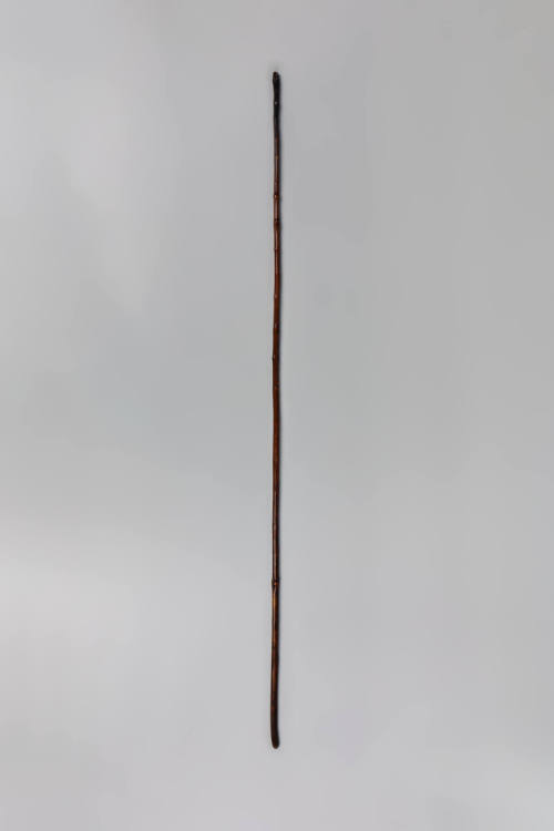 Walking Stick, 20th Century
Ethiopia
Wood; 60 × 1 1/2 × 1 1/8 in.
2021.7.28
Anonymous Gift