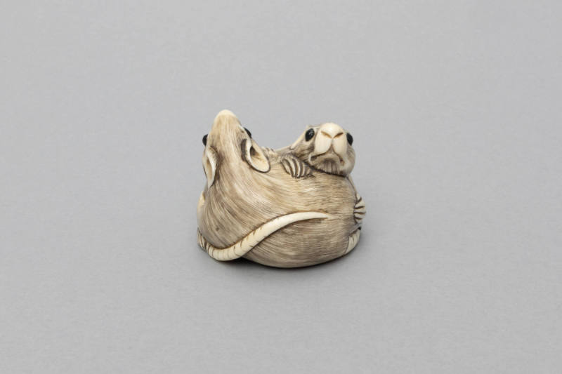Rats Netsuke, 19th to 20th Century
Japan
Ivory and pigments
2005.9.55
Gifts of City of Los …