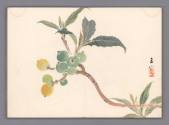 Book of Paintings, late 1920s
Lin Yu-shan (Taiwanese, 1907-2004); Taiwan
Ink on paper; 12 × 8…