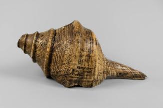 Shell Trumpet (Dung Dkar), 18th to 19th Century
Tibet Autonomous Region
Shell; 16 × 8 1/2 × 7…