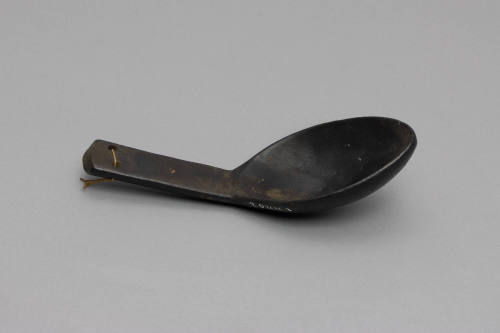 Spoon