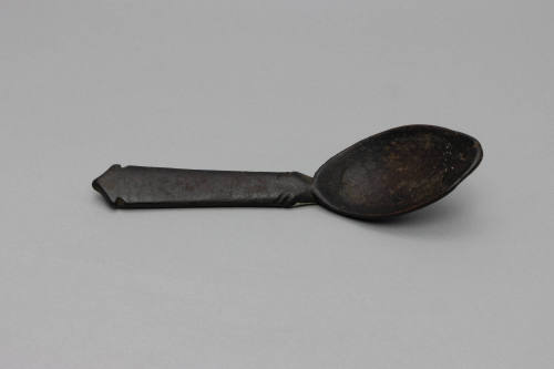 Spoon