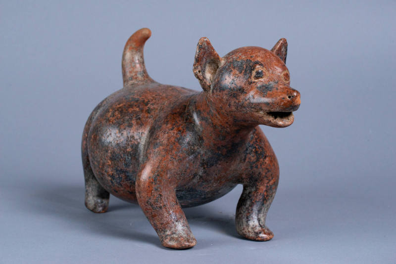 Standing Dog, 200 BCE - 300 CE
Colima Shaft Tomb peoples; Colima, Mexico
Ceramic and pigment;…