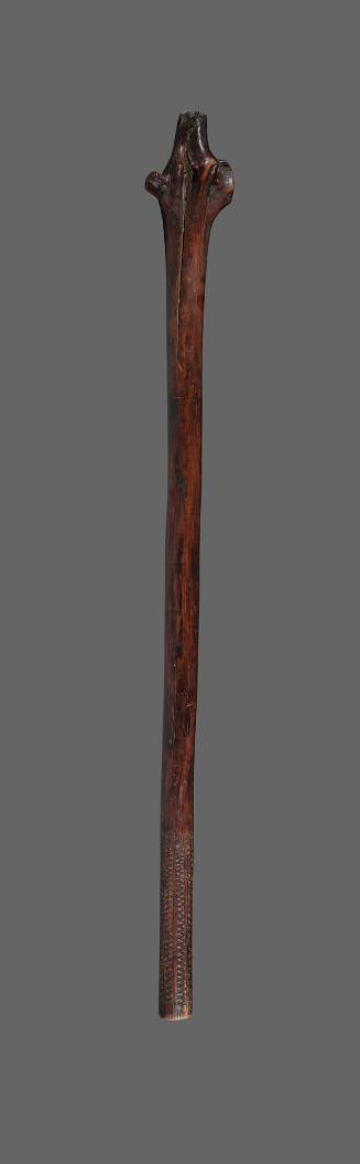 Club
18th to 19th Century
Fiji
Wood
Bowers Museum Purchase provided by the Jordan Community…
