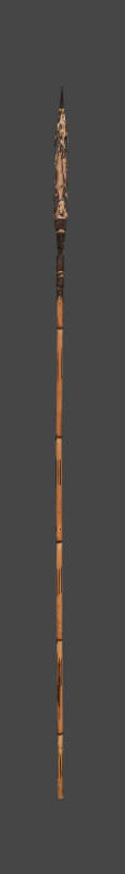 Arrow
20th Century
Papua New Guinea
Wood, bamboo, plant fiber, and pigment
Gift of Greg and…