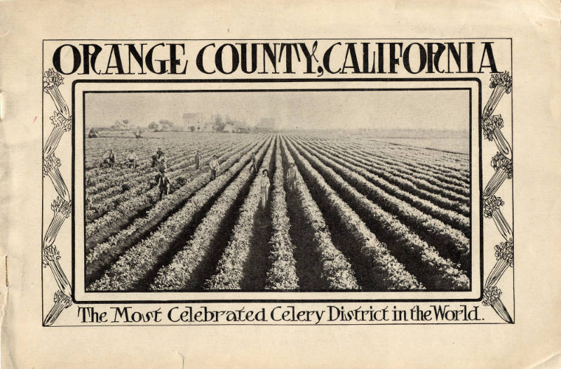Orange County California, The Most Celebrated Celery District in the World