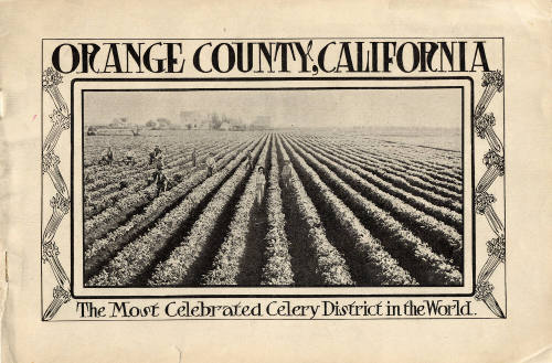 Orange County California, The Most Celebrated Celery District in the World